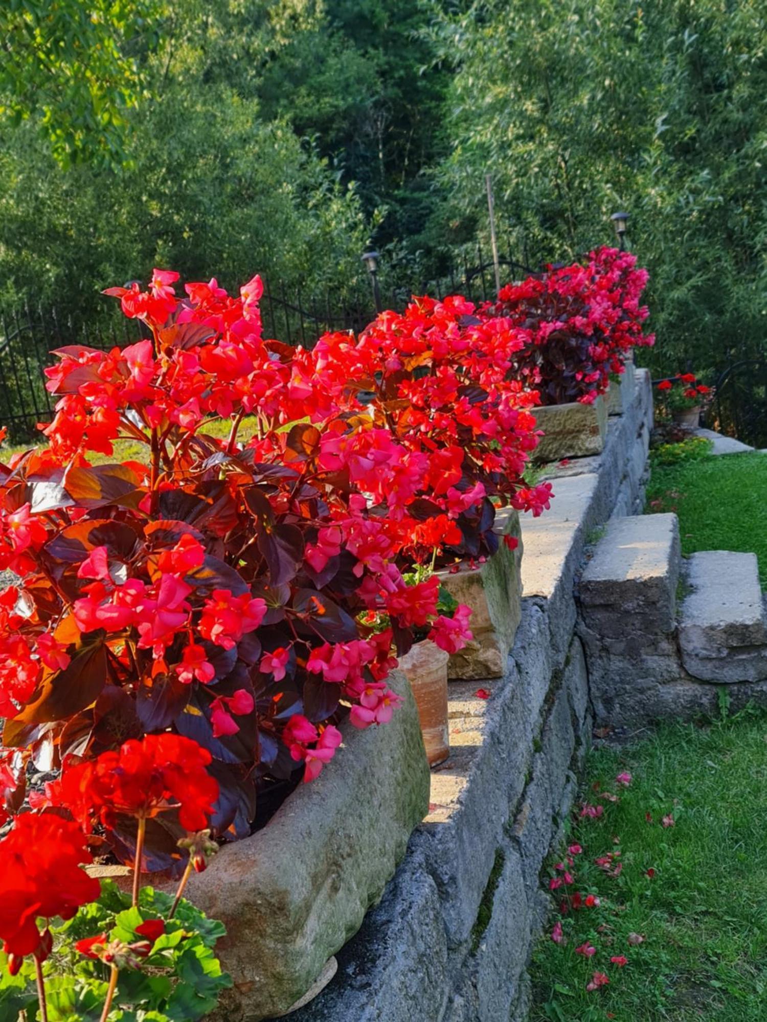 Sieraton Pokoje I Apartament Stronie Śląskie Kültér fotó